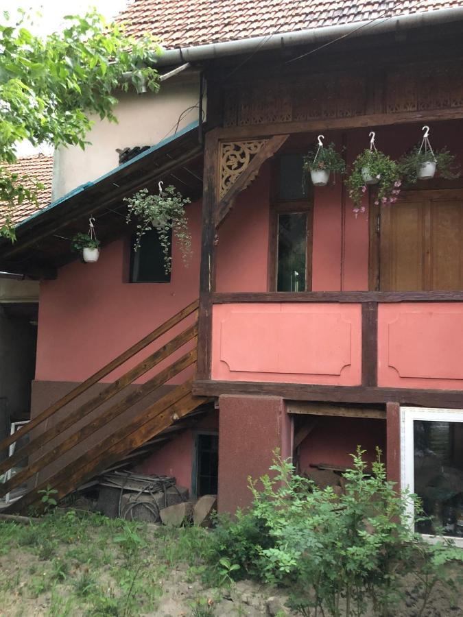 Apartmán Cezara Mediaş Exteriér fotografie